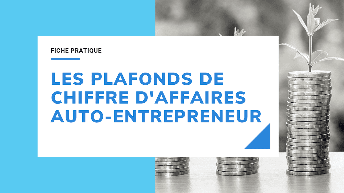 Plafonds Auto Entrepreneur 2020 Les Seuils De Chiffre D